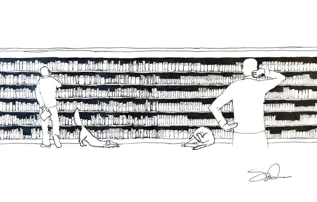 Bookshelf variety over calf leather uniformity