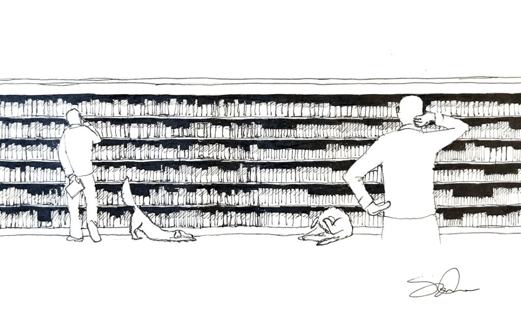 Bookshelf variety over calf leather&nbsp;uniformity