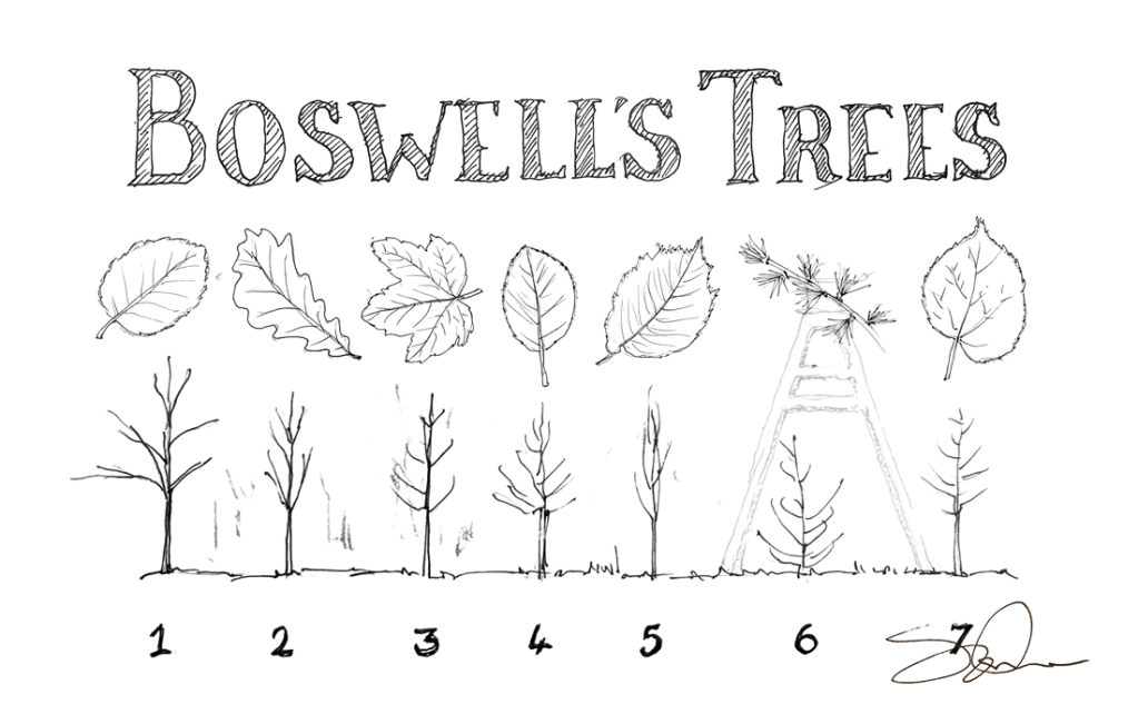 A Most Creative Way to Commemorate&nbsp;Boswell